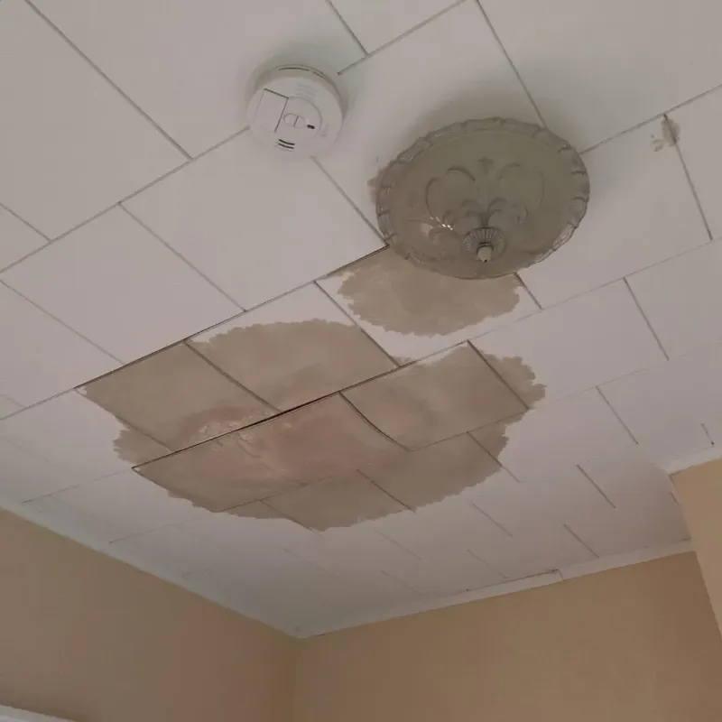 Ceiling Water Damage Repair in Columbiana, AL