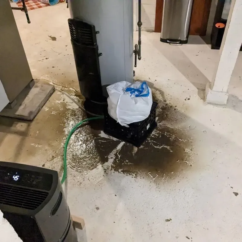 Sewage Backup Cleanup Service in Columbiana, AL